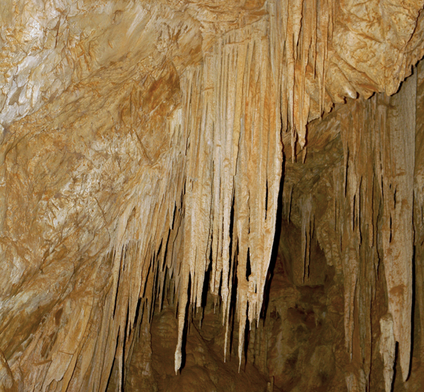 Stalactites in Abercrombie Caves